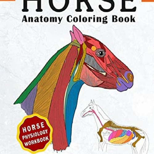 Download Pdf Download Horse Coloring Physiology Workbook Veterinary Anatomy Magnificent Learning By Waseso