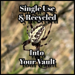 Into Your Vault