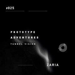 Prototype Adventures 025: Zaria