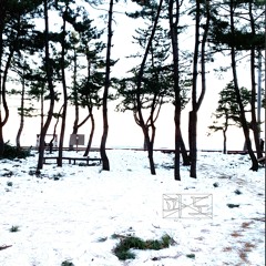 파도