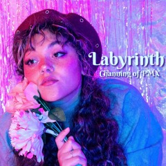 Labyrinth (Prod. bloom) by Channing of PMX