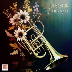 Dj Gaston - Afrotrumpet (Long Play)