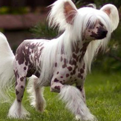 i go through this all the time