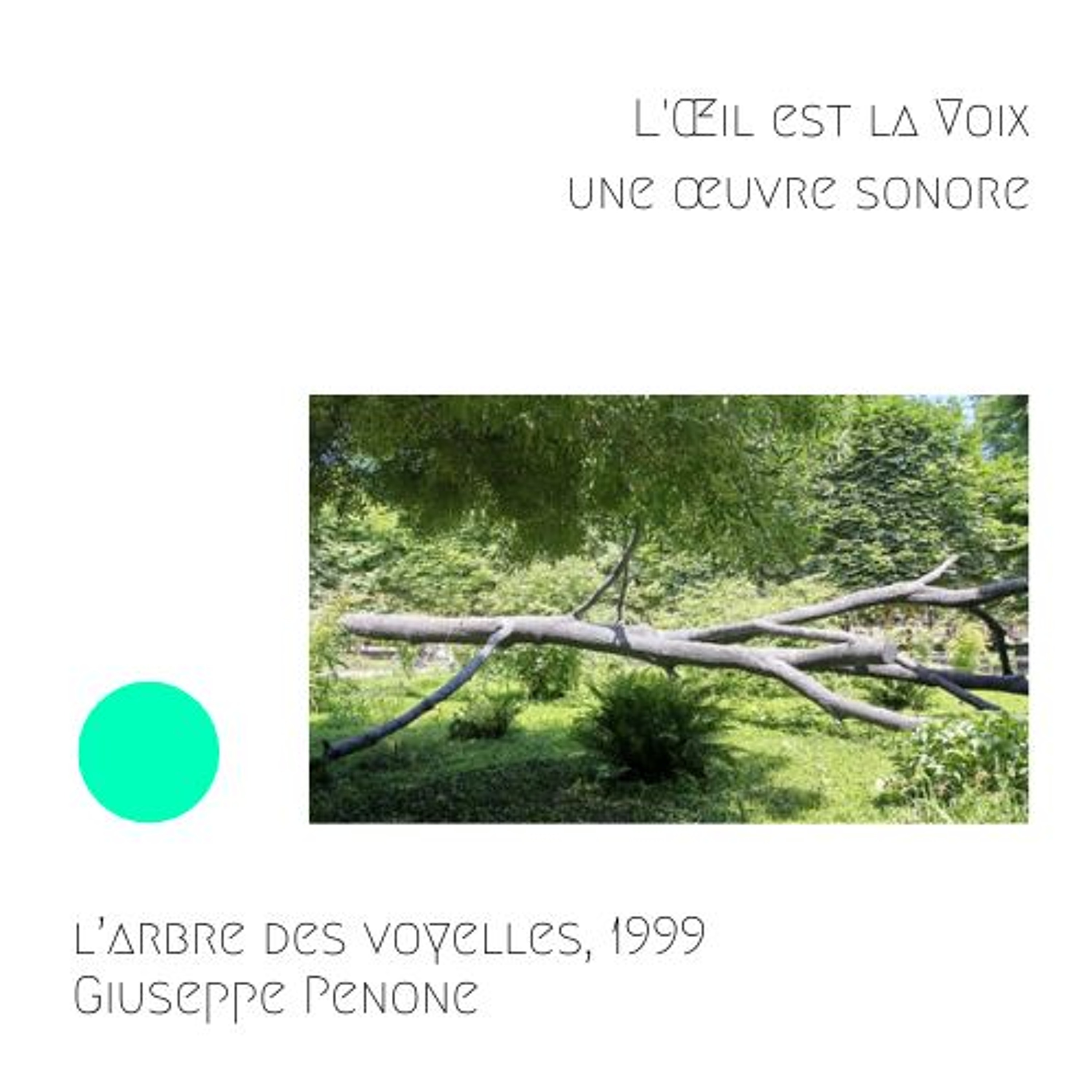 L’arbre des voyelles, 1999, Giuseppe Penone