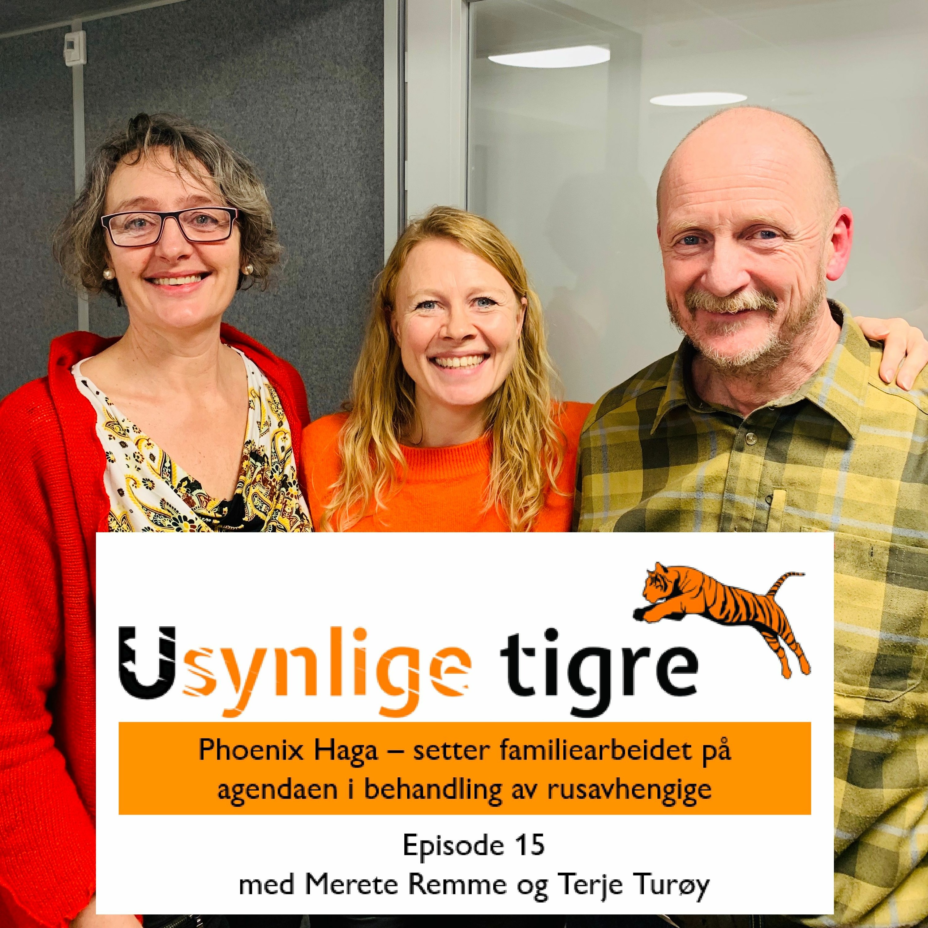 Usynlige tigre-podden