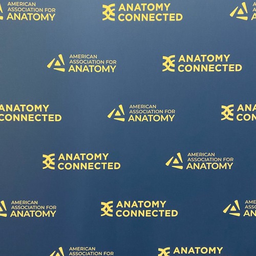 Stream episode Anatomy Connected 2024 conference by Medical