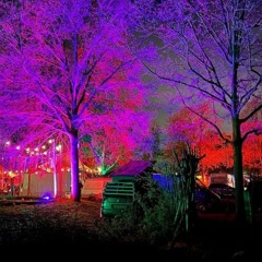 Progressive sets by Camino Alto