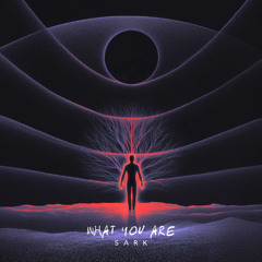 What you are