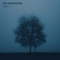 Our memories