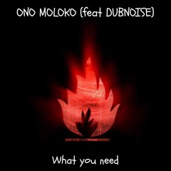 WHAT YOU NEED (Lyrics DUBNOISE)