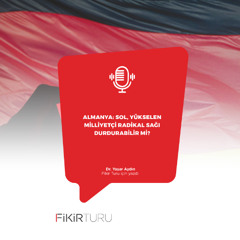 Almanya: Sol, yükselen milliyetçi radikal sağı durdurabilir mi?