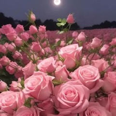flowers (prod Alfie Snapped + ilysean)