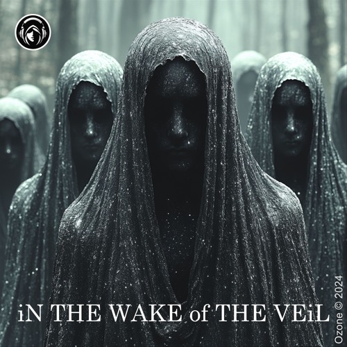 IN THE WAKE Of THE VEiL