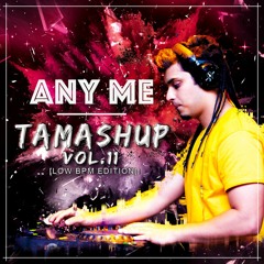 Tamashup Vol. 11 [Low BPM Edition] (Moombahton Mashups)