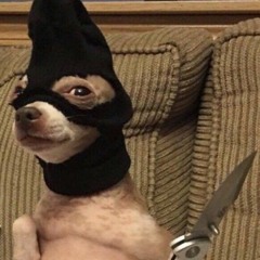 tekno ou je tue le cabot