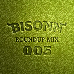 Roundup Mix 005 (Tech House / Bass House)