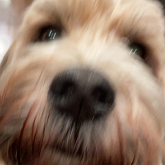 Weekfourlove(prod.FlymaneEdge) 12.52.15 AM