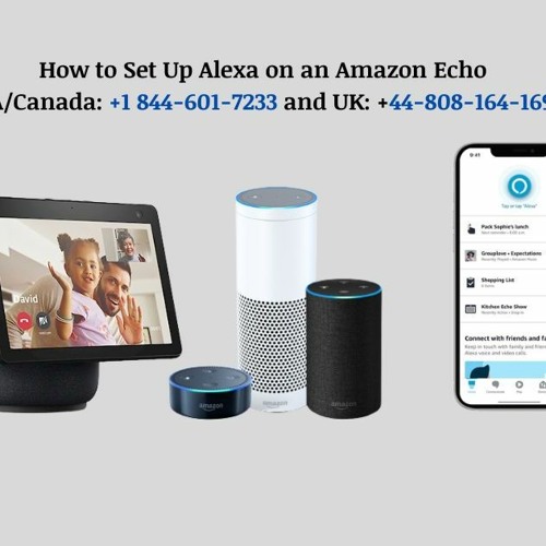 Best Guide How To Set Up Alexa On An Amazon Echo