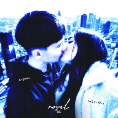 novel. w/veter19ok