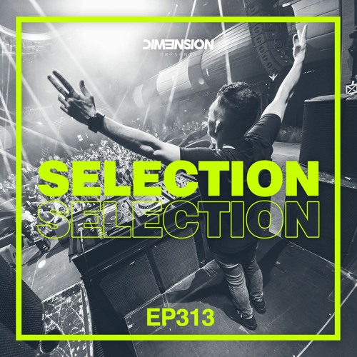 DIM3NSION Selection - Episode 313 (14.05.2021)