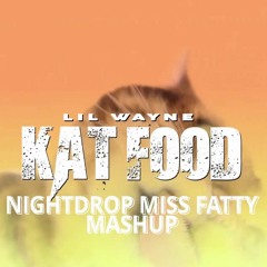 Lil Wayne - Kat Food (Nightdrop Miss Fatty Mashup)