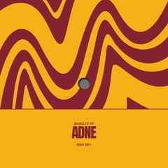 Adne - Mad Congaz