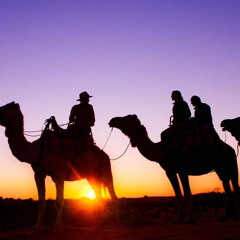 Camel ride