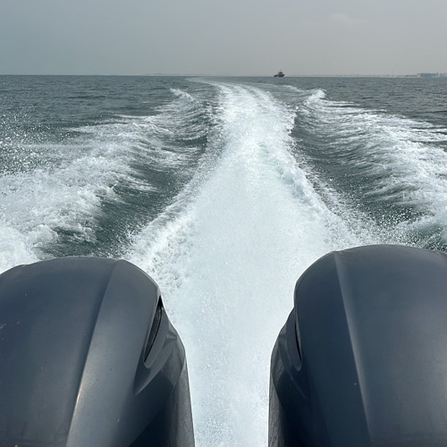 طافحات الموج شلتنا 🌊