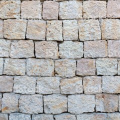 Fritachão (experimental)