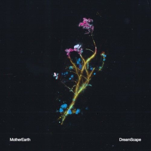 MotherEarth - Dreamscape