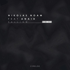 Falling (Nikolas Noam Remix)
