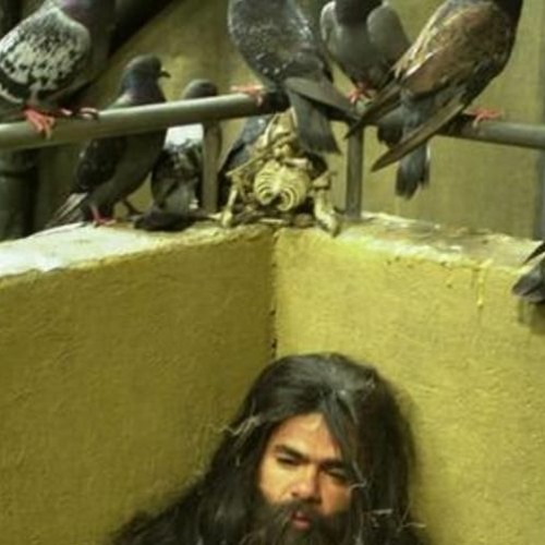 Francky Drives On The Wrong Side