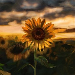 Art🎨