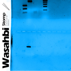Wasahbi - Stomp