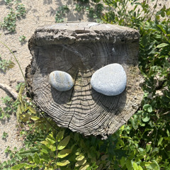 Flux to the Beach
