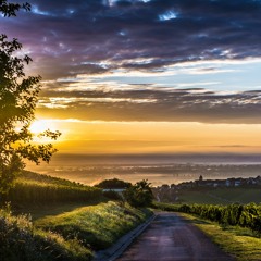 The Windless Trail - #OutsideCompetition