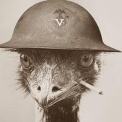 The Great Emu War