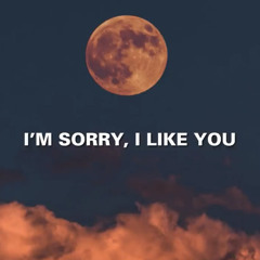 I’m Sorry, I Like You - Yung Gus ft. Rhiannon Autumn.