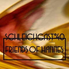Schleichcast°40 | Friends of Hannes