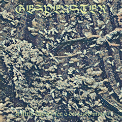 IV.Hungry Scavenger Wedding