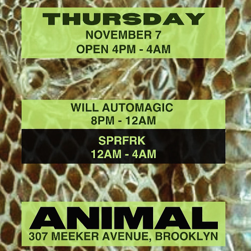 SPRFRK @ ANIMAL 11/7/2024