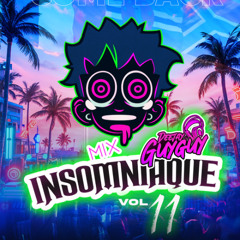 Mix Insomniaque Vol.11  (Deejay Guyguy 2025)