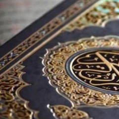 ⛩️🐯🌌BLOT!xPANDA! ۱پی 🪽🪽🎧ہوجنو جگہ♈