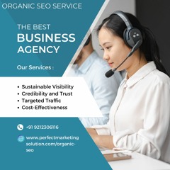 Nurturing Visibility The Organic SEO Company Difference