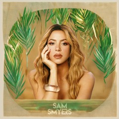 Shakira - Whenever, Wherever (Sam Smyers Remix)