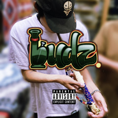 BUDZ (PROD. SNAKE GOD)