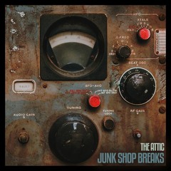 Junk Shop Breaks Audio Preview