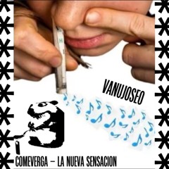COME VERGA PROD LYN