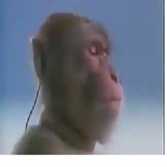 VKIE - NIE MIEJ PRETENSJI ft. MACIAS lepsza wersja