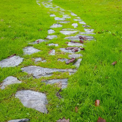 92. Key Takeaways from the Mindfulness and Meditation Series for Educators